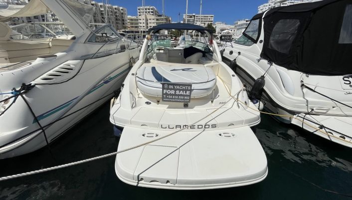 Little Sea Ray 295 for Sale